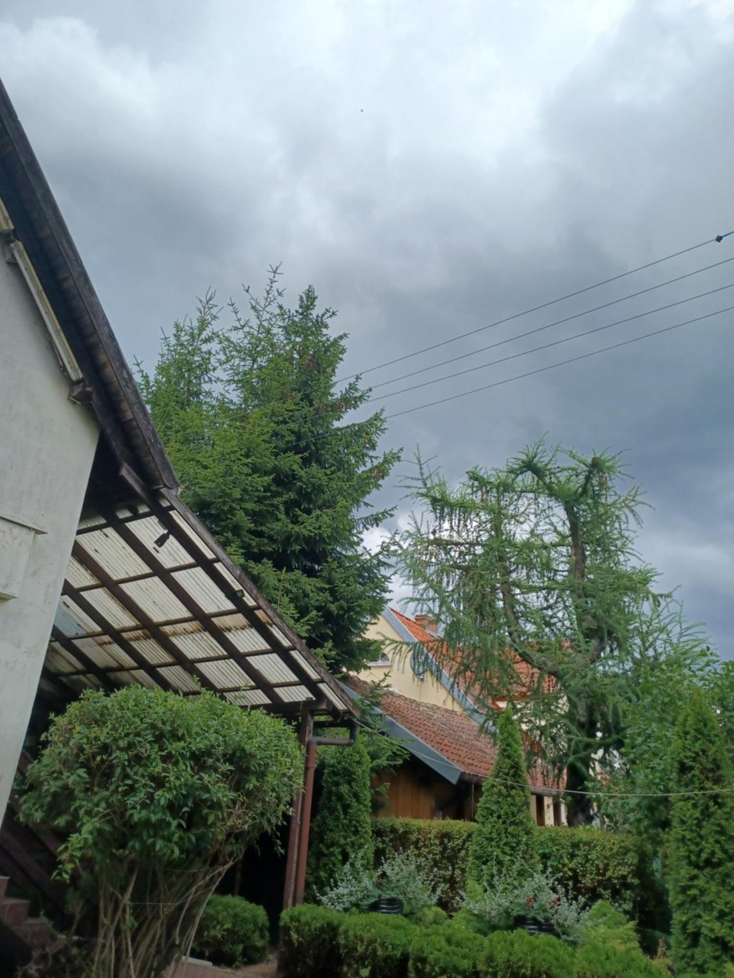 Apartamenty, Pokoje, Noclegi Pracownicze " Skarpa" Wilkasy Exterior foto