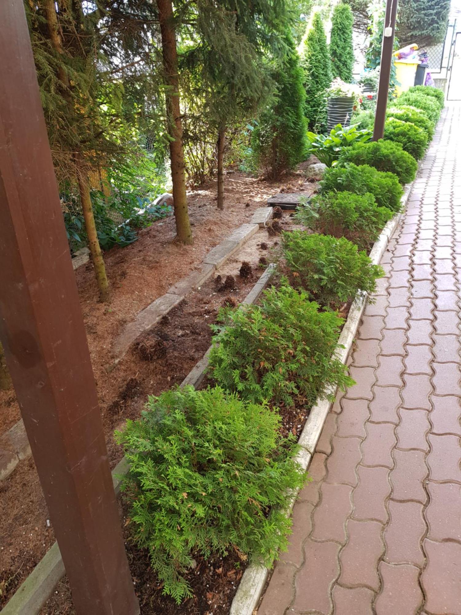 Apartamenty, Pokoje, Noclegi Pracownicze " Skarpa" Wilkasy Exterior foto